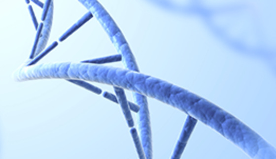 2024年危險廢物污染環(huán)境防治信息公示